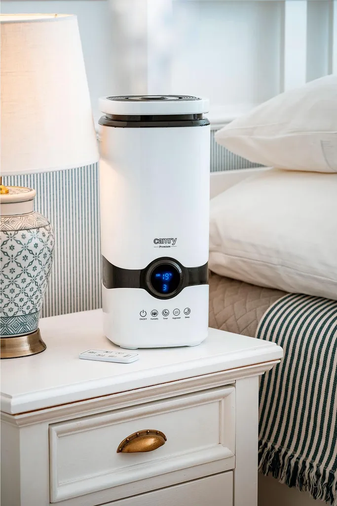 Air sec ? Humidificateur Camry 4,2L Silencieux 25W LED 8h - 15