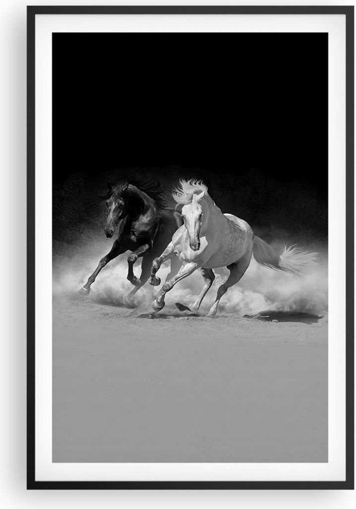 Gerahmtes Poster - Schwarzer Rahmen - Andalusier Pferde Galopp - 61x91,5 cm - Wand Bild - Wanddeko - Wandbilder - Wandposter - Bilderrahmen - Bilde...