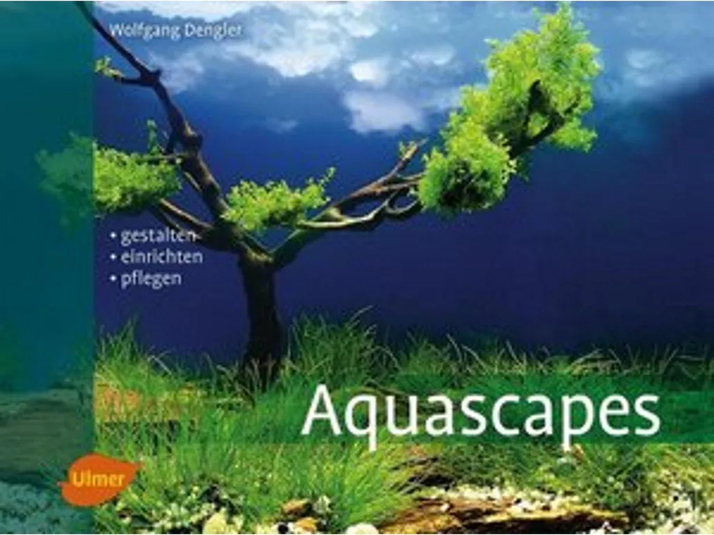 Aquascapes Kit Aquarium Complet avec Cuve en Verre Extra-Clair de 60L