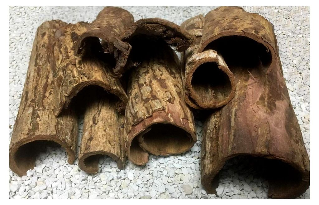 Höhlen Set 500g - Seemandelbaumrinde zum (500 g ca. 10 Teile) Versteck und Wasseraufbereitung