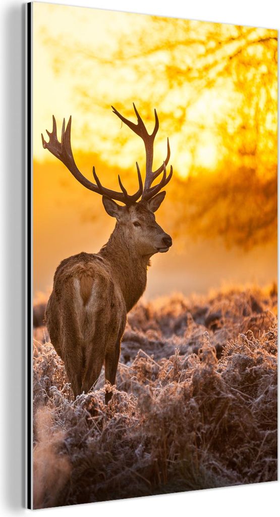 MuchoWow Wanddekoration Metall Metallbild Wandkunst 80x120 cm Hirsche - Tiere - Sonnenuntergang - Winter - Heidekraut - Natur MuchoWow Aluminium Ge...