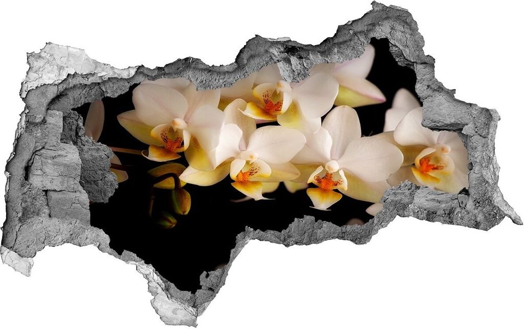 Selbstklebender Loch-3D-Aufkleber 95x73 cm Orchidee