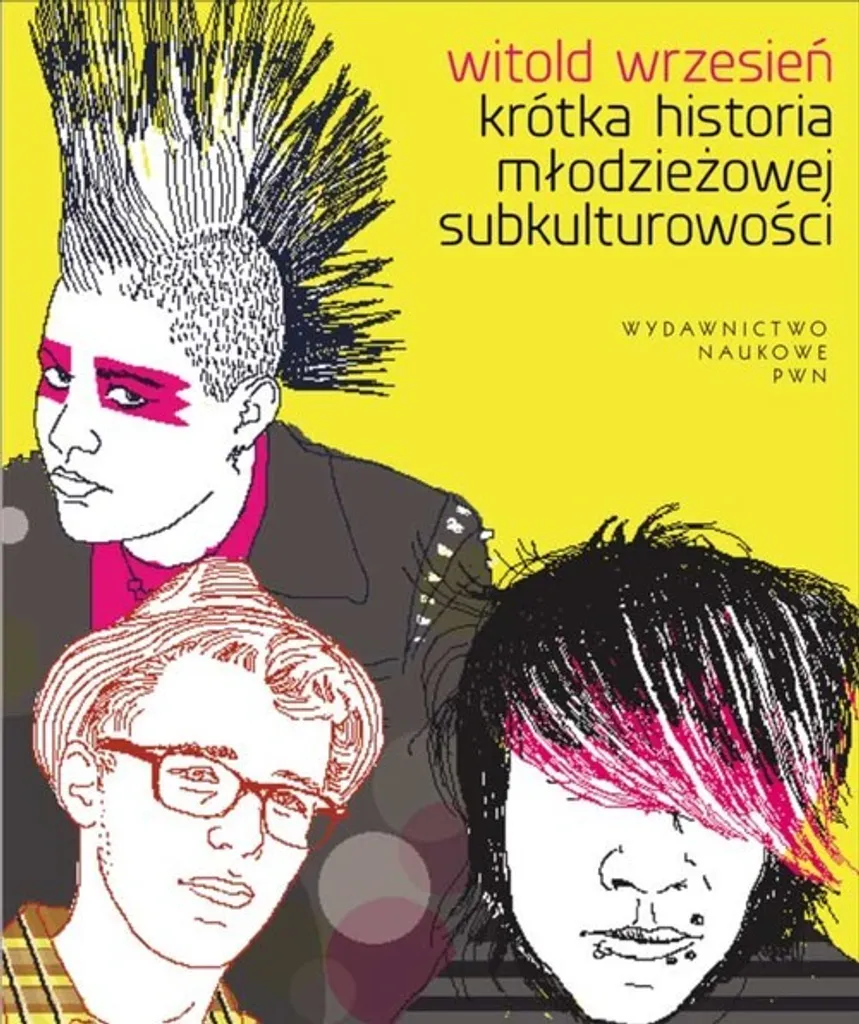 Livre illustré sur l'histoire des subcultures de jeunes en Europe