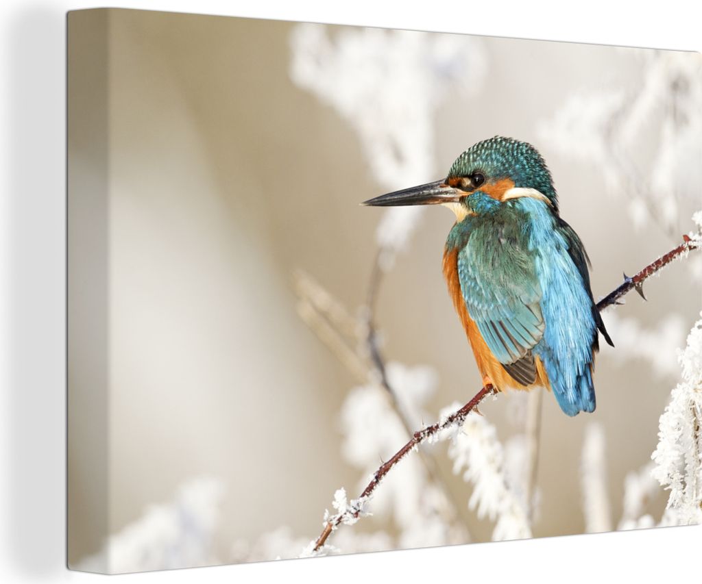 OneMillionCanvasses - Leinwandbilder - 150x100 cm, Eisvogel - Schnee - Äste, Wandbilder Kunstdruck Wanddekoration