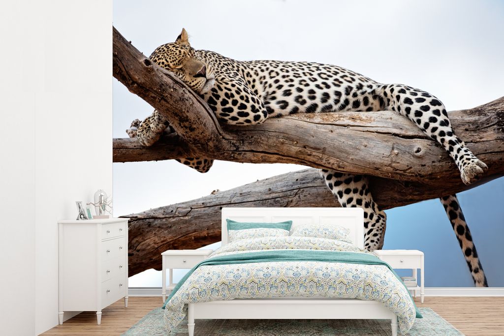 MuchoWow Fototapete für Wohnzimmer oder Schlafzimmer Wandtapete Vinyl Motivtapete Leopard auf dem Baum - 305x220 cm - Wandbilder