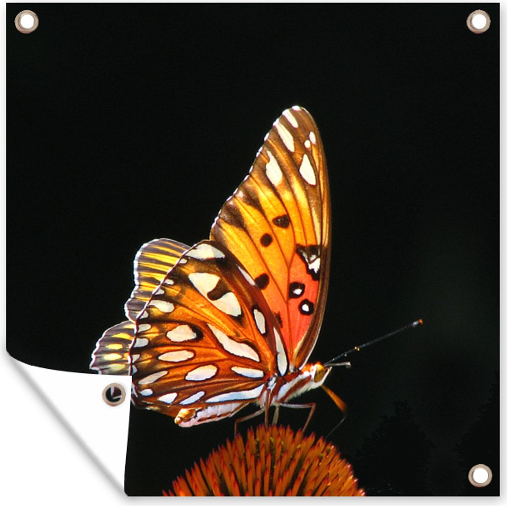 MuchoWow 100x100 cm Outdoor-Poster Gartendeko Sichtschutz Garten Poster für den Garten Schmetterling - Blumen - Insekt - Porträt - Schwarz - O...