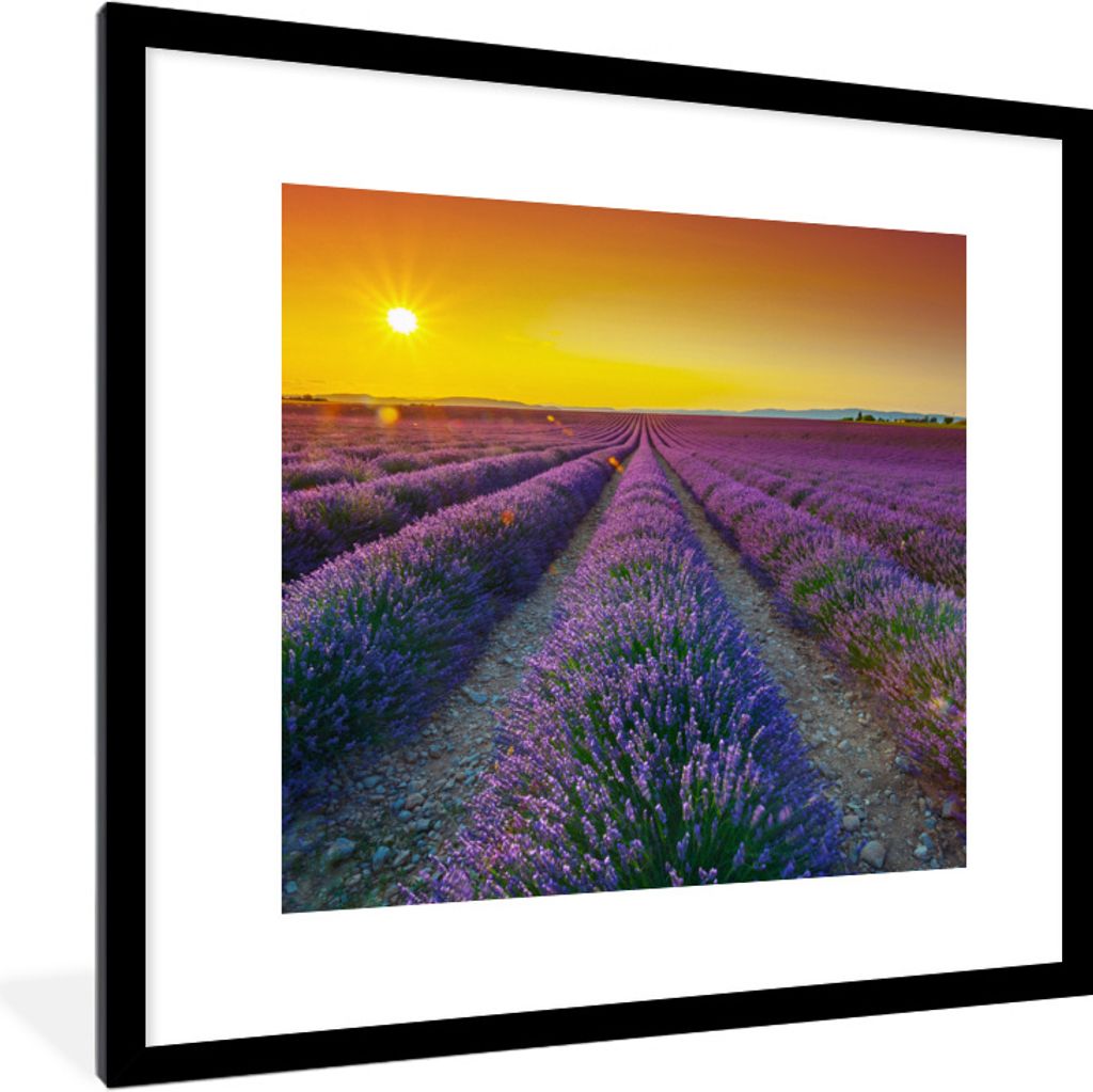 MuchoWow Gerahmtes Poster Oranger Sonnenuntergang über einem Feld voller Lavendel 40x40 cm - Poster mit Schwarzem Bilderrahmen Wandposter Rahmen...