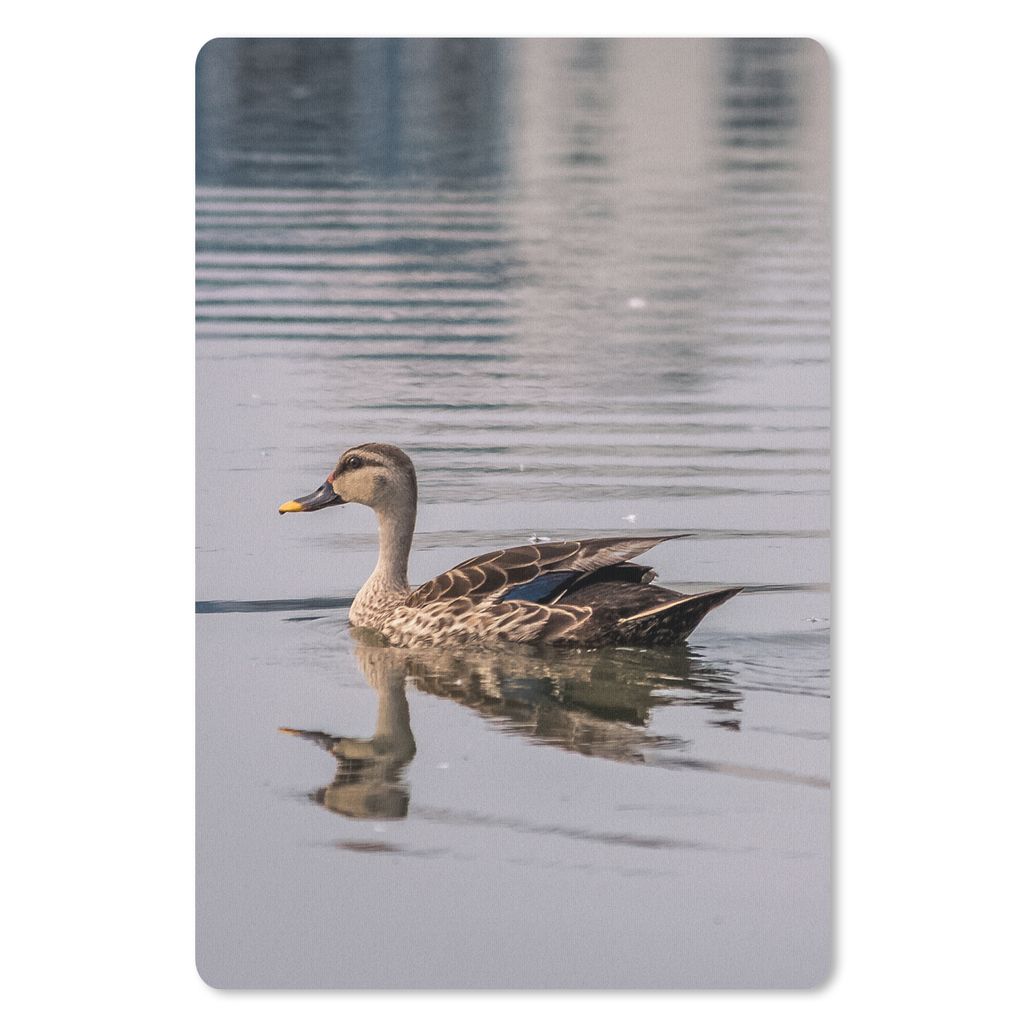 MuchoWow Mauspad Mousepad Ente - Wasser - Vogel - Braun 18x27 cm - Mousepads - Maus Mat - Pad - Mausunterlage