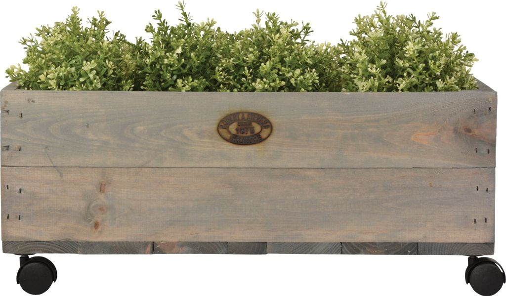 Esschert Rastliny Kvety 59x39x24,6cm Kvetináč Kolieska Obrázok produktu 1