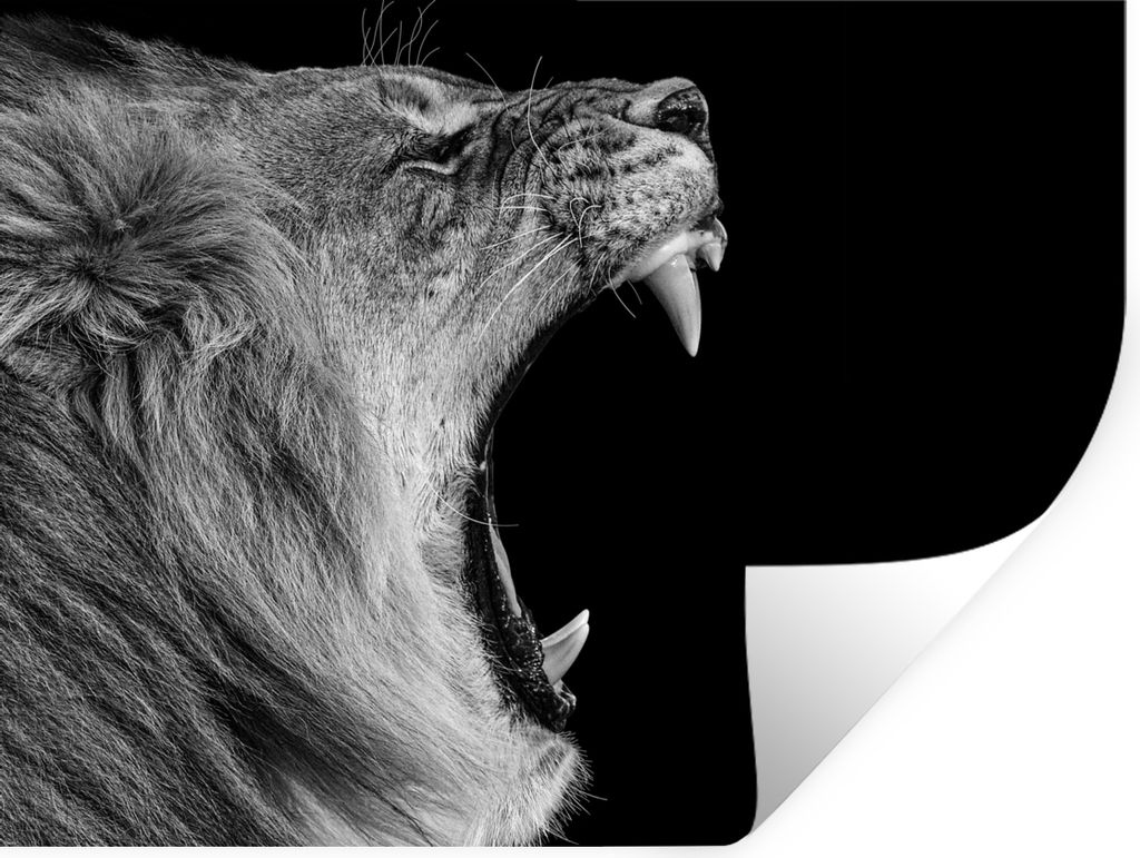 MuchoWow Wandtattoo Wandsticker Wandaufkleber Tiere - Löwe - Schwarz - Weiß - Porträt 80x60 cm Selbstklebend und Repositionierbar - Faltenfrei
