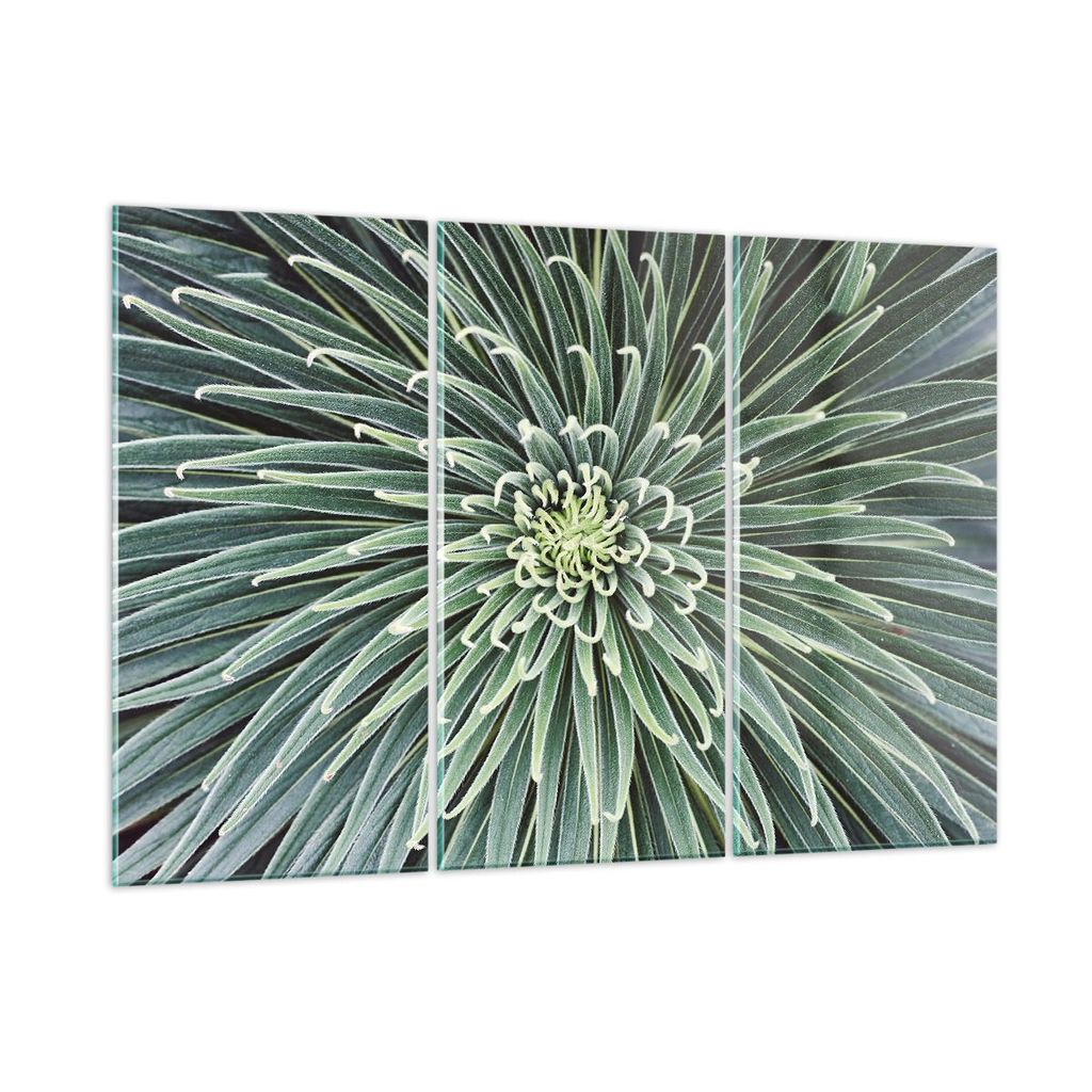 Bilder auf glas - 3 Teile - Agave Grün Pflanze - 165x110cm - Glasbilder - Wandbilder - Bilder - zum Aufhängen bereit - Wanddekoration aus Glas - ...