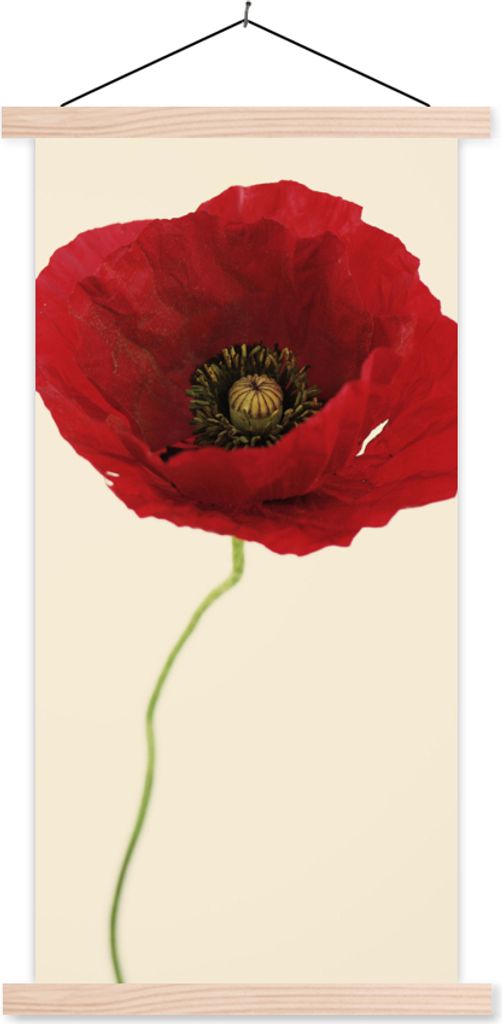 MuchoWow Textilposter Nahaufnahme einer roten Mohnblume 40x80 cm mit holzfarbenen Rahmen - Wohnzimmer