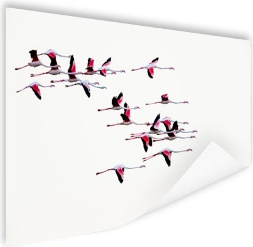 MuchoWow Poster Ein Schwarm Flamingos fliegt durch den Himmel 120x80 cm - Bilder