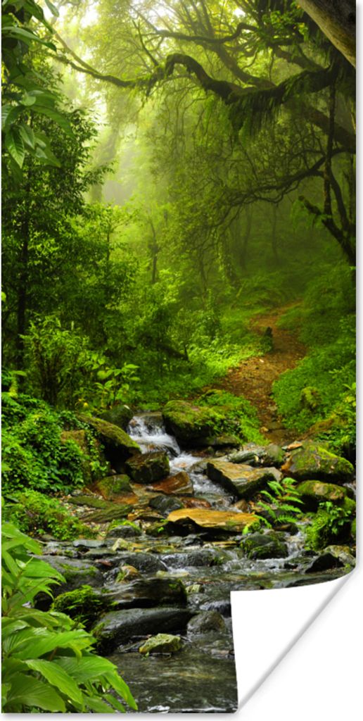 MuchoWow Poster Natur - Wasser - Dschungel - Wald - Tropisch 75x150 cm - Dekoration für die Wände
