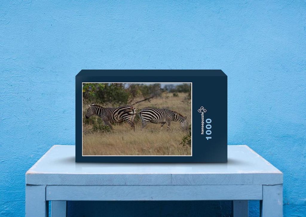 hansepuzzle 80681 - Zebra Puzzle, 1000 Teile, Natur, 60,0 x 46,0cm mit hochwertiger Aufbewahrung, Kartonbox und wiederverschließbarem Beutel