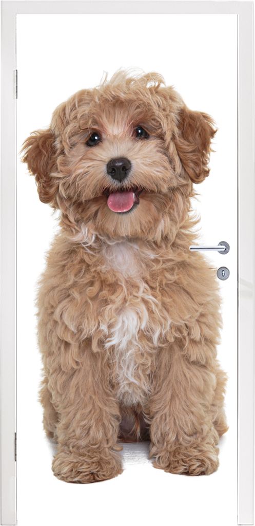 MuchoWow Türtapete Selbstklebende Türfolie Hund - Haustiere - Fell 90x205 cm Türposter Türaufkleber Klebefolie Türklebefolie - Türaufklebern