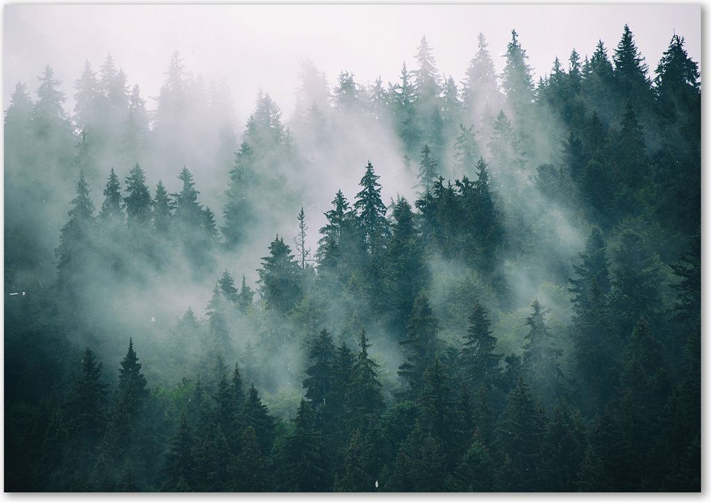 Tulup Glas-Bild - 100 x 70 - Wandbild aus Glas - Wandkunst - Wandbild hinter gehärtetem Sicherheitsglas - Landschaften - Nebel über dem Wald - ...
