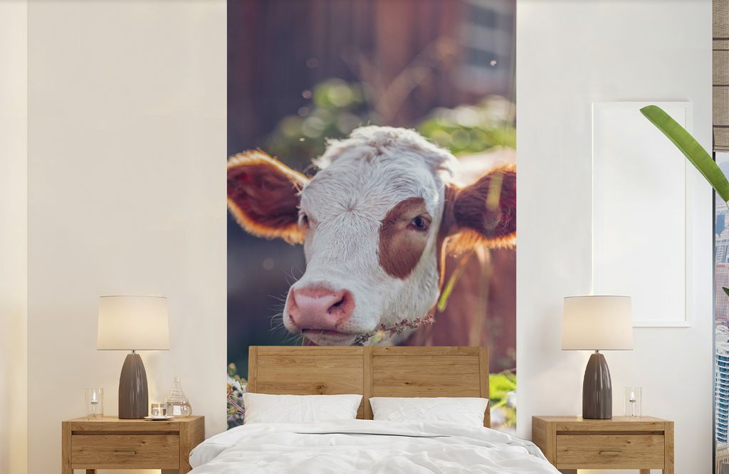 MuchoWow Fototapete für Wohnzimmer oder Schlafzimmer Wandtapete Vinyl Motivtapete Kuh - Blumen - Licht - 120x240 cm - Hintergrundbild