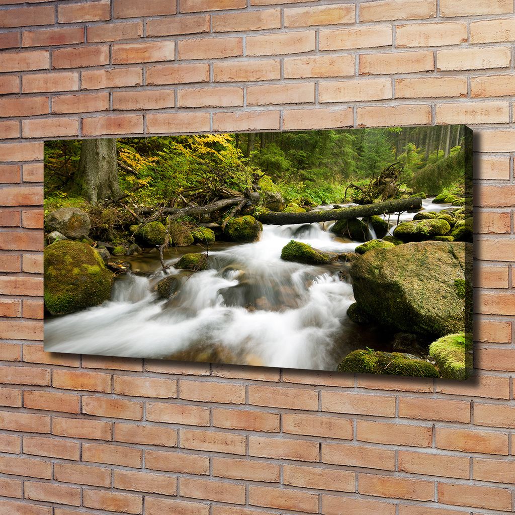 Tulup Leinwandbild - 120x60 cm - Wandkunst - Drucke auf Leinwand - Leinwanddruck - Landschaften - Grün - Bach