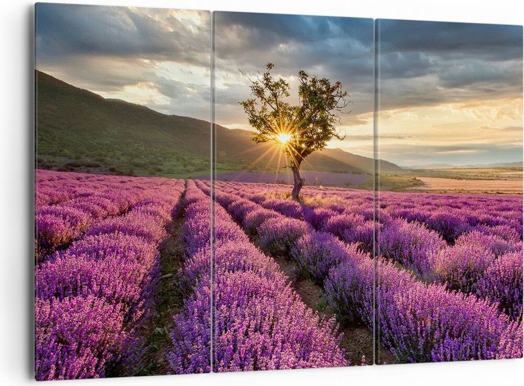 Bild auf Leinwand - Leinwandbild - Lavendel Berge Feld - 165x110cm - Wand Bild - Wanddeko - Leinwanddruck - Bilder - Kunstdruck - Wanddekoration - ...