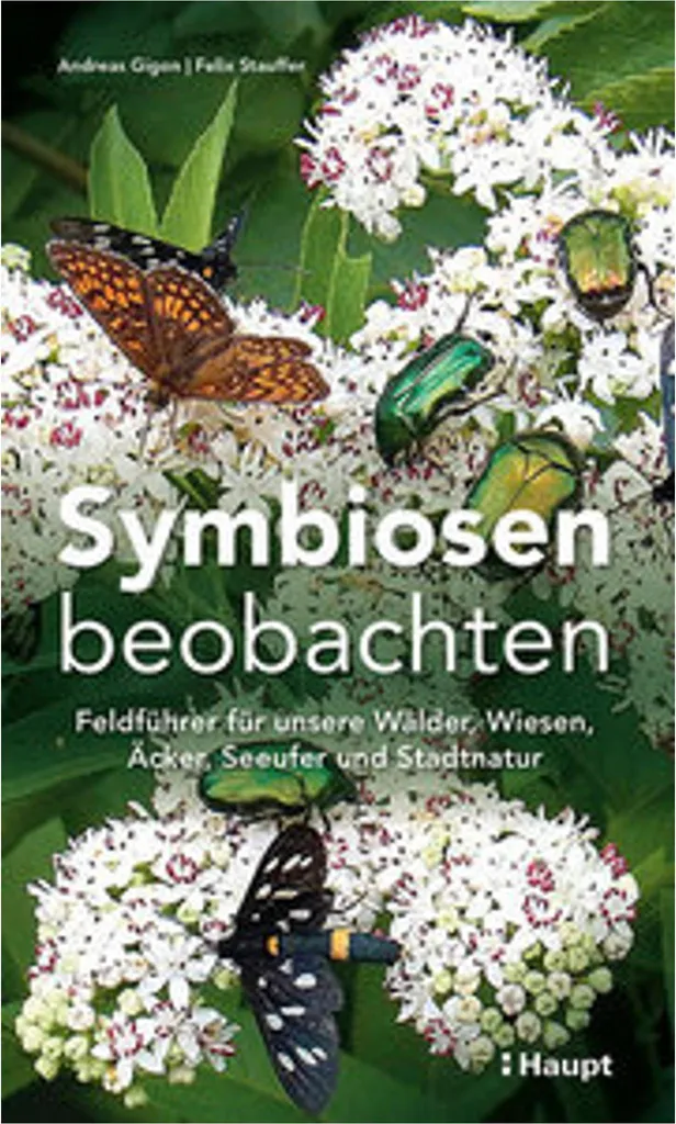 Activités plein air Symbiosen beobachten pour explorer la forêt