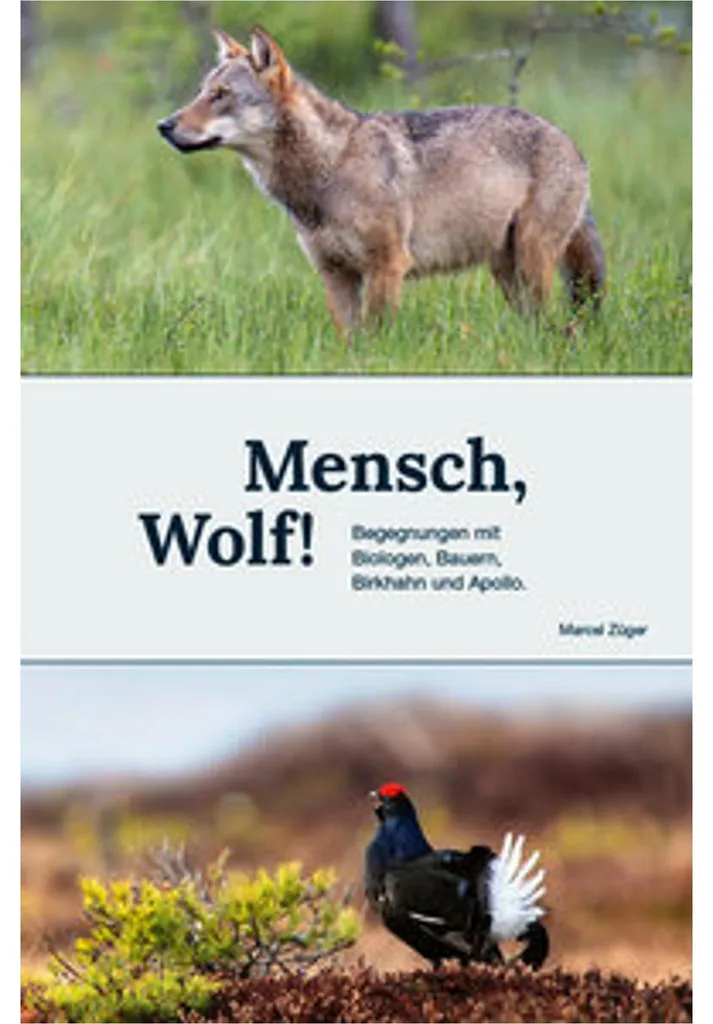 Mensch, Wolf ! Jeu de stratégie avec figurines en bois et plateau illustré