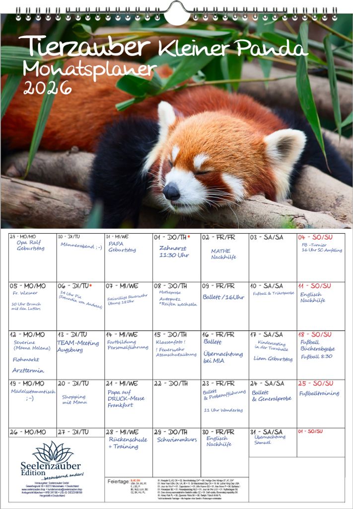Tierzauber Kleiner Panda Planer DIN A3 Kalender für 2026 Roter Panda - Seelenzauber
