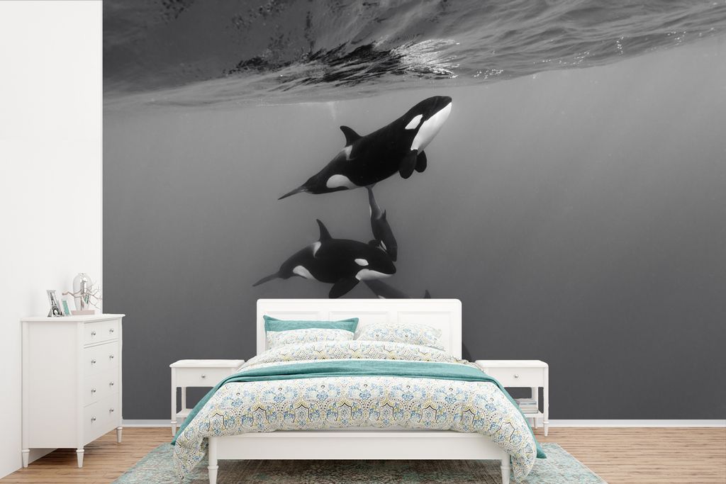 MuchoWow Fototapete für Wohnzimmer oder Schlafzimmer Wandtapete Vinyl Motivtapete Orca - Wasser - Schwarz - Weiß - 420x280 cm - Zimmer für Kinder