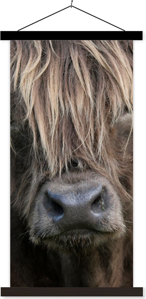 MuchoWow Textilposter Schottisches Hochlandrind - Braun - Nase 40x80 cm mit schwarzem Rahmen - Wandemalerei