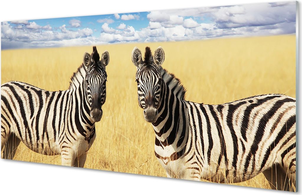 Glasbilder 140x70 Wandkunst Zebra-Box