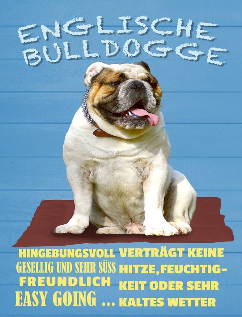 vianmo Holzschild 40x30 cm Englische Bulldogge Hund süss