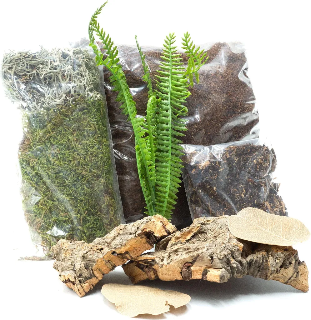 Kit Spider Maker L : Solution pour le Tissage Difficile des Grandes Araignées
