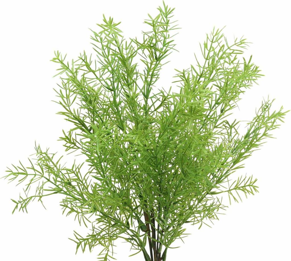 Asparagus Zierspargel künstlich Dekopflanze Grün 46cm