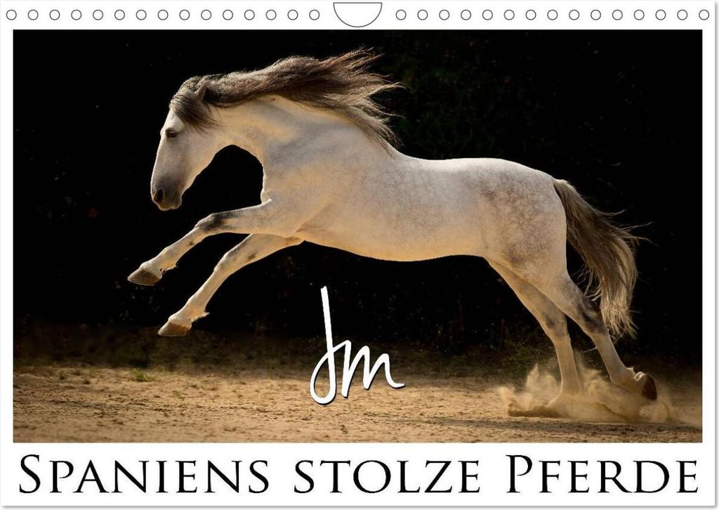 Spaniens stolze Pferde (Wandkalender 2026 DIN A4 quer), CALVENDO Monatskalender