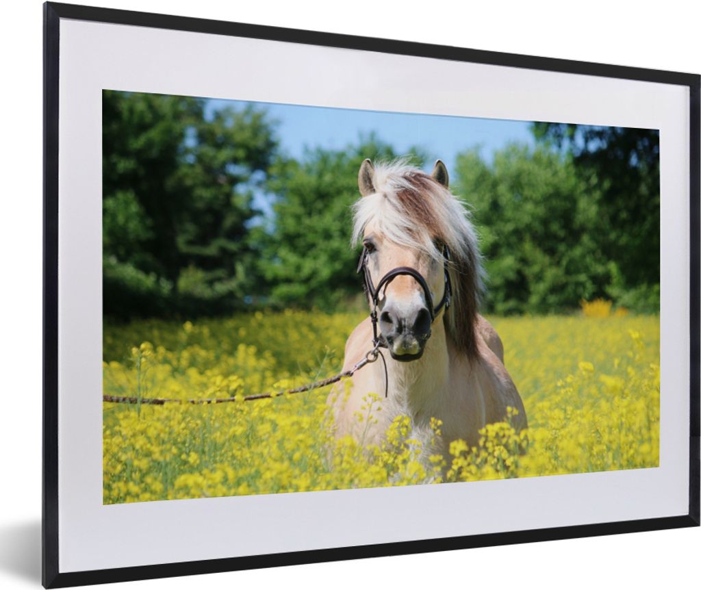MuchoWow MuchoWow Gerahmtes Poster Pferd - Blumen - Gelb 60x40 cm - Poster mit zchwarzem Bilderrahmen - Schlafzimmer - Plakat in Rahmen - Drucken