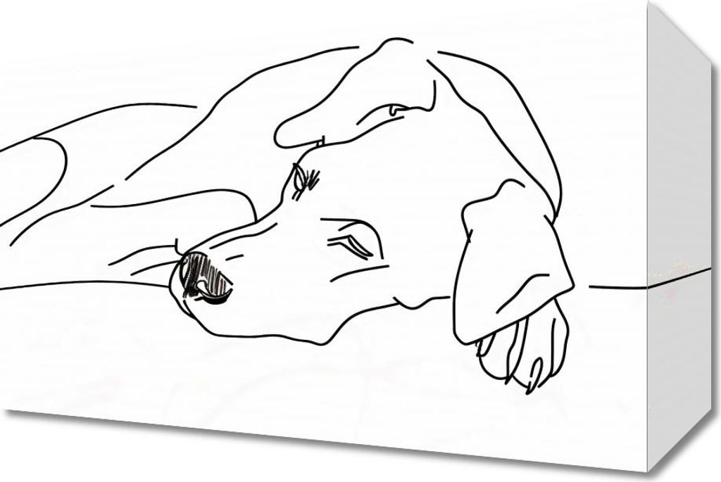 Bild 30x20cm Hund Entspannung