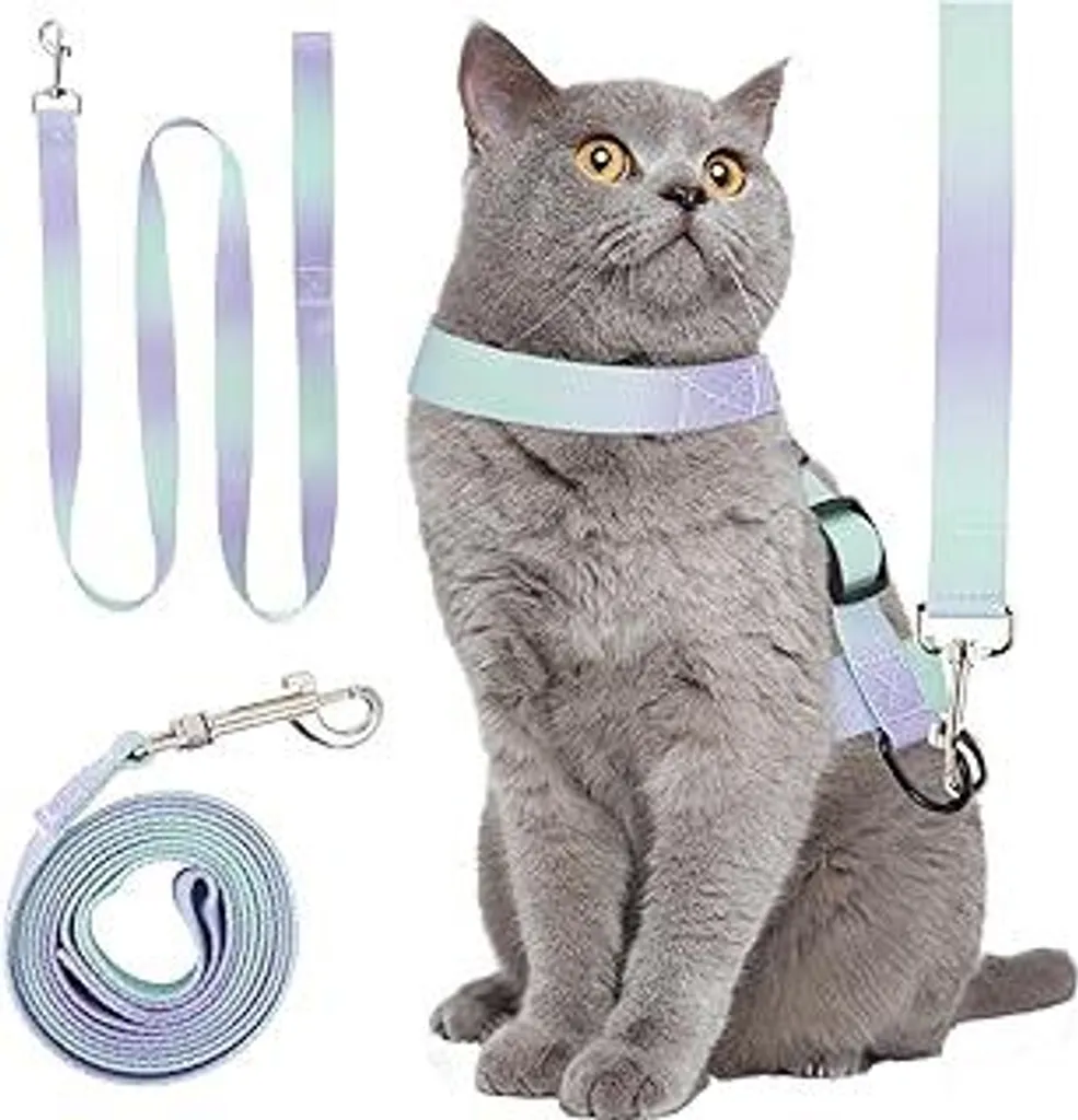Set Imbracatura Gatto Antifuga con Guinzaglio e Cintura Auto | Sicurezza Top