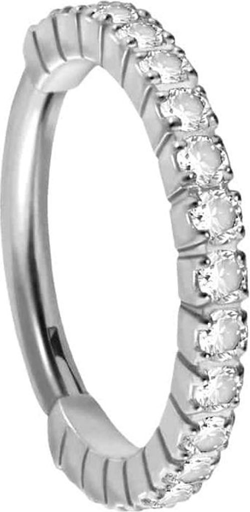 Ohrpiercing, Nasenpiercing, Septum Piercing Titan Segmentring Clicker EINGEFASSTE KRISTALLE Silber Innendurchmesser: 10 mm