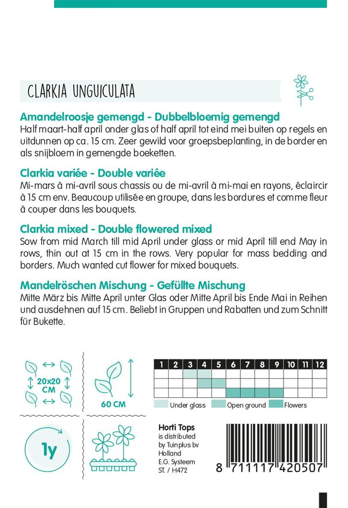 Mandelröschen Doppelt Gefüllt | Blumensamen von Hortitops