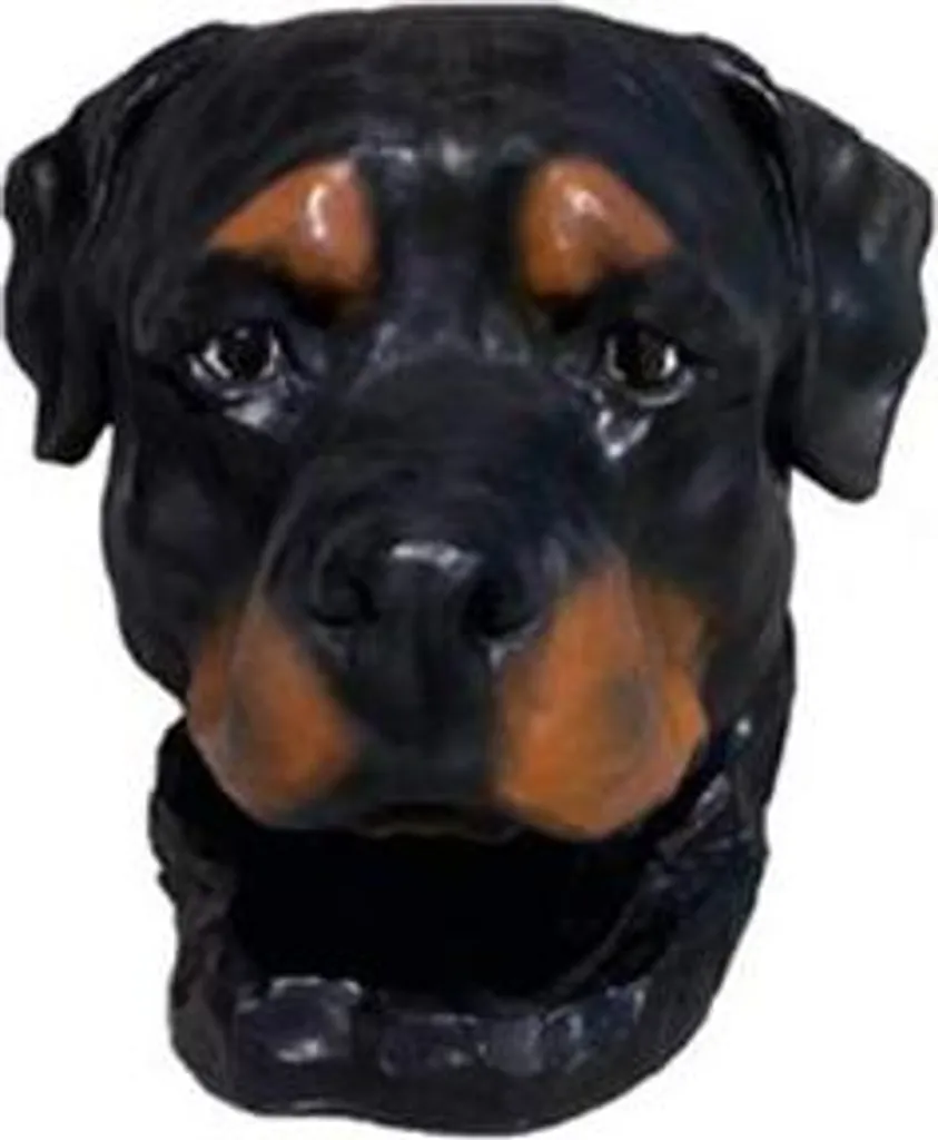 Figurine Chien Rottweiler de Collection en Résine Hauteur 35 cm