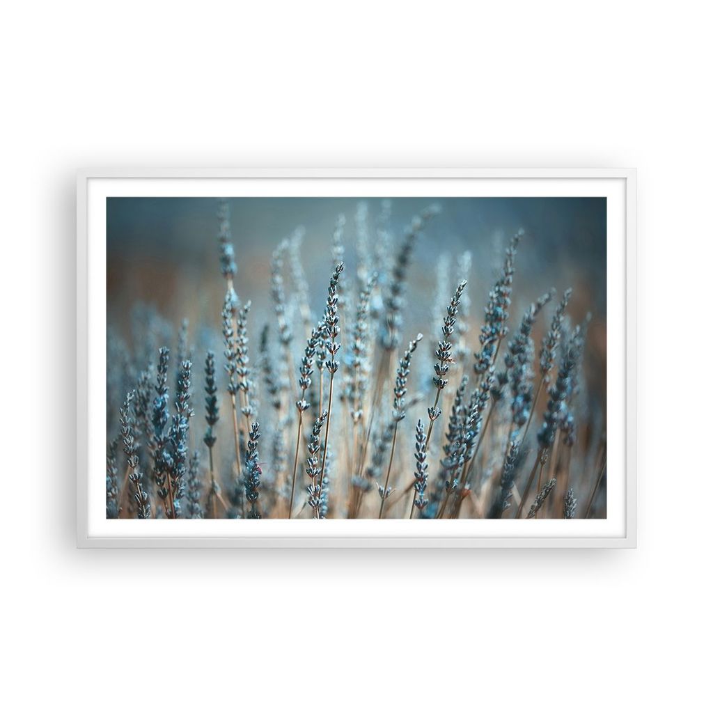 Gerahmtes Poster - Weißer Rahmen - Lavendel Klinge Blume - 91,5x61 cm - Wand Bild - Wanddeko - Wandbilder - Kunstposter - Wandposter - Bilderrahme...