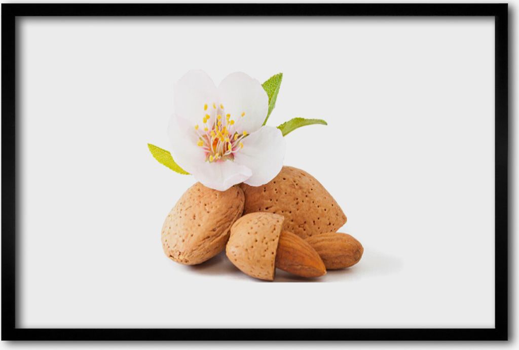 Bild 60x40 MDF-Rahmen Wandkunst Blumen-Pistazie Natur