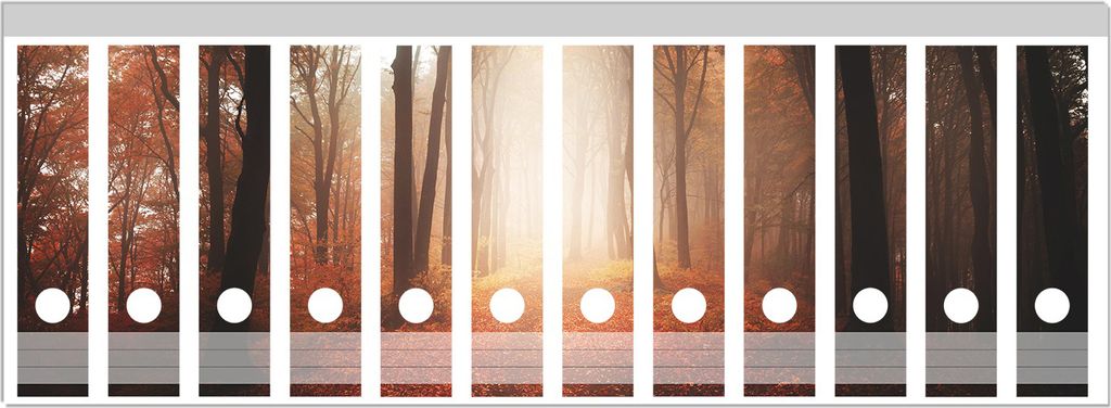 Wallario Ordnerrücken Sticker, selbstklebend für breite Ordner, 12 Stück, Motiv Herbstwald - Weg zu einer Lichtung im Wald