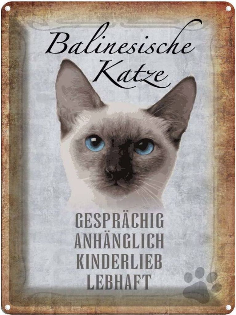 vianmo Blechschild 40x30 cm balinesische Katze