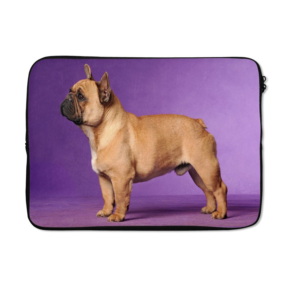 MuchoWow Laptop Hülle 14 ZollFranzösische Bulldogge - Braun - Lila Laptoptasche - Laptoptasche - Stoßsicher - Schutzhaube