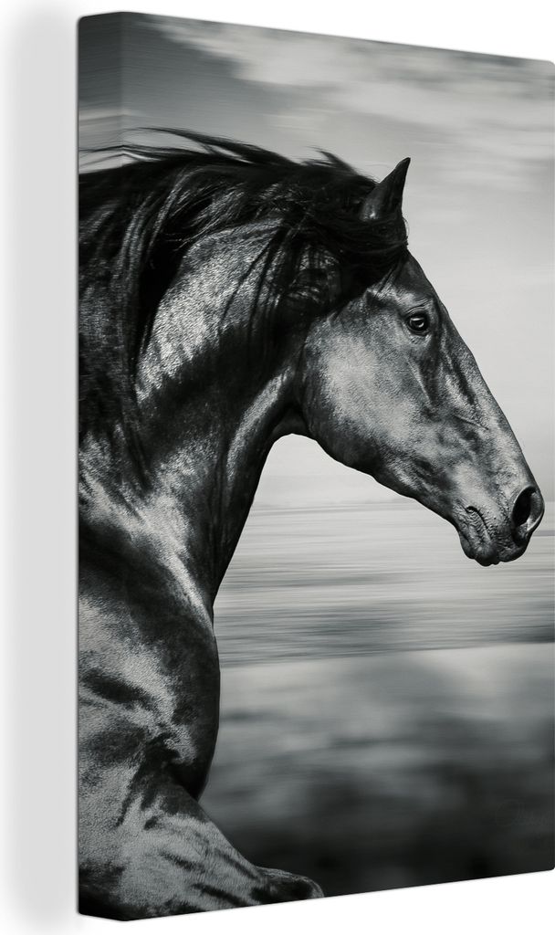 OneMillionCanvasses - Leinwandbilder - 90x140 cm, Pferd - Tiere - Schwarz - Weiß, Wandbilder Kunstdruck Wanddekoration - Foto auf Leinwand - Gem...