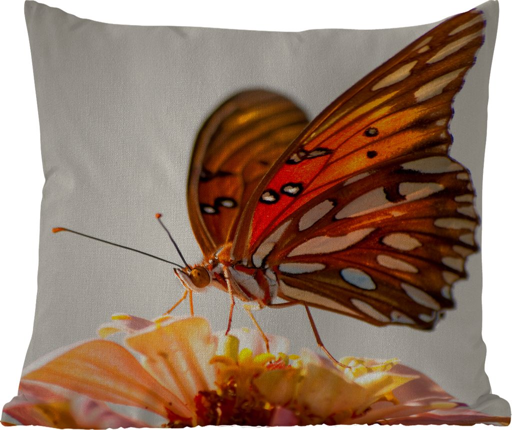 MuchoWow Outdoor Kissen - Schmetterling - Orange - Blume - Insekten - 60x60 cm - Wetterfest - Lounge Kissen - Dekoration - Schlaf Kissen