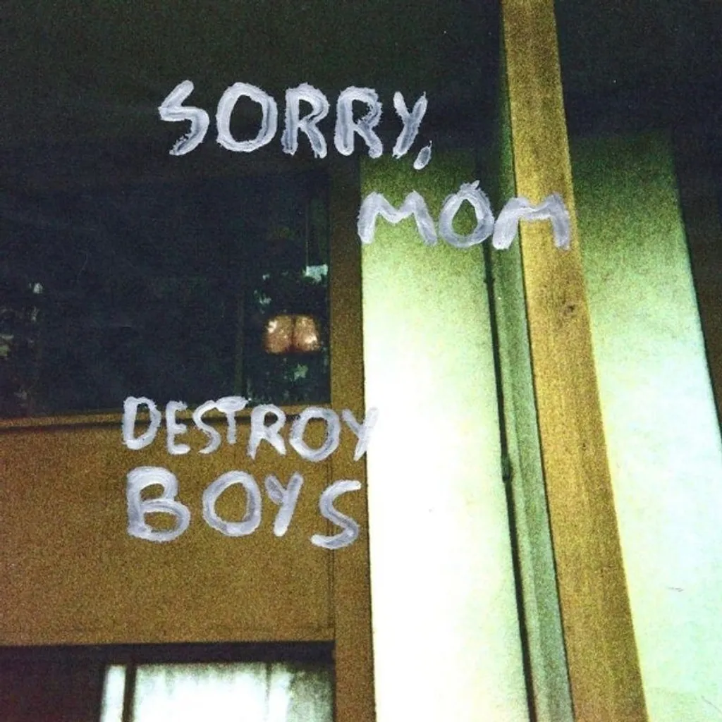 Vinyle Sorry Mom Destroy Boys enfin disponible en Réédition LP Punk Rock