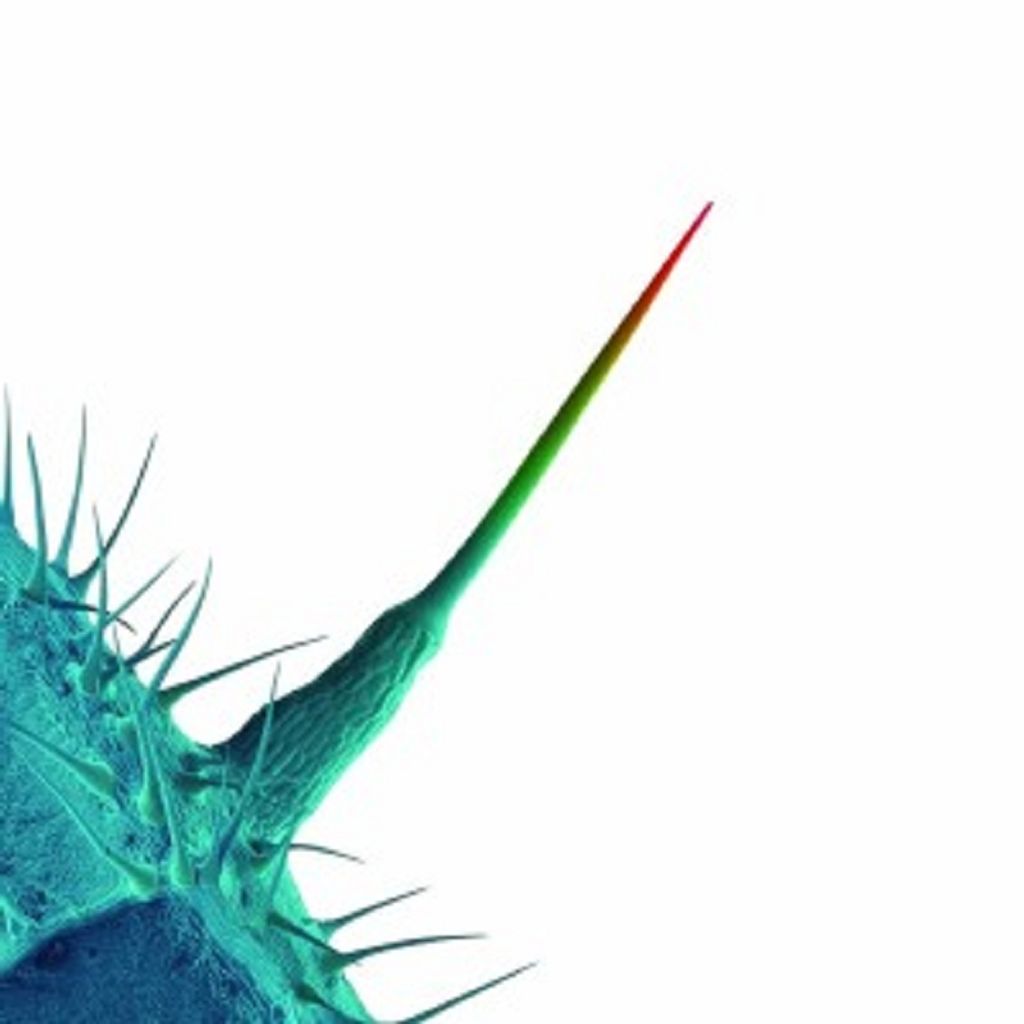 Peter Gabriel - And I'll Scratch Yours CD