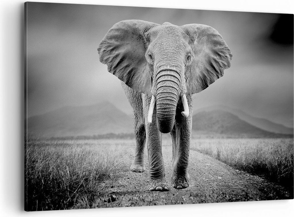 Bild auf Leinwand - Leinwandbild - Einteilig - Elefant Wildnis Natur - 120x80cm - Wand Bild - Wanddeko - Wandbilder - Leinwanddruck - Bilder - Wand...